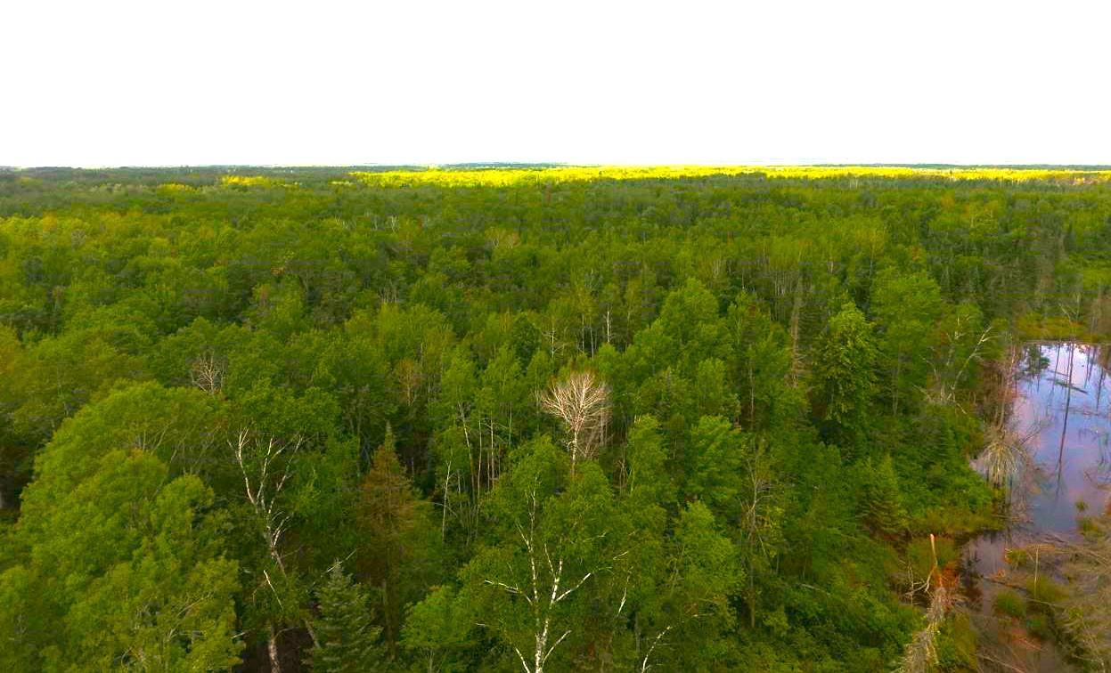 XX40 acres W Center Road , Clear Creek Unorg. Terr., MN 55707