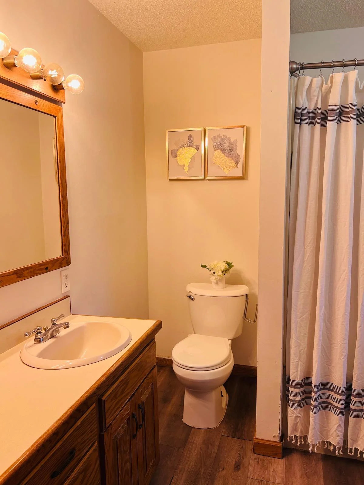 5117 Clear Spring Road, Minnetonka, MN 55345